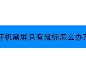 电脑开机显示器黑屏问题解决方法（如何处理显示器黑屏）