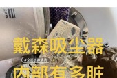 如何正确清洗戴森吸尘器滤网（简单易行的清洗方法让您的戴森吸尘器永葆清洁效能）