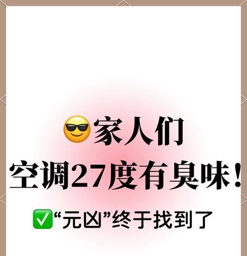 空调吹出臭味的原因及解决方法（空调内部环境问题导致臭味）  第2张